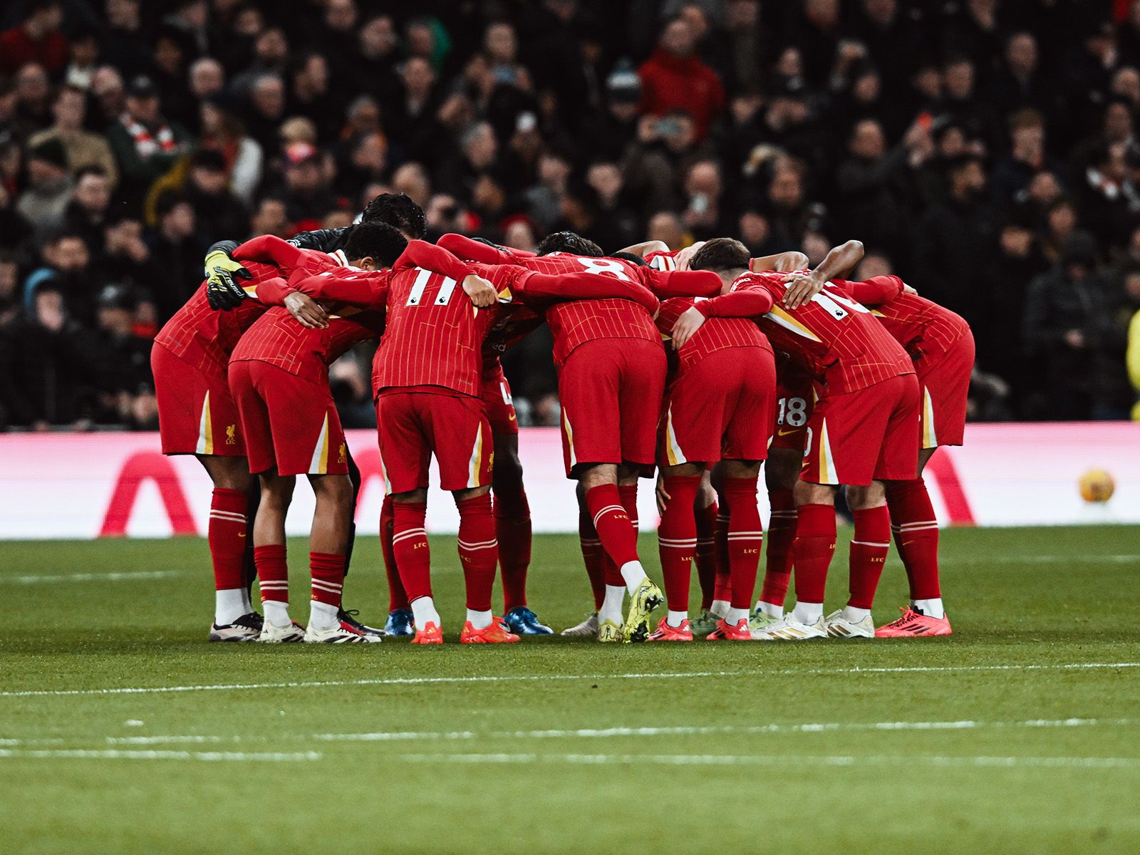 这才是优质3D应有的水准，开拓者锋线新星终于刷出了自己的存在感